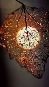 خلفيات ايفون 8 الاصلية Wallpaper Iphone Original Moonlight Photography Creative Photography Nature Photography