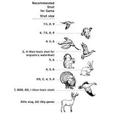 corrected shot for game hunting guns hunting tips hunting