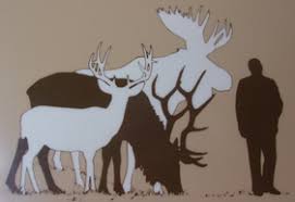 Contrary to popular belief, they're filled with fat, which. Rocky Mountain Mammal Size Comparisons Mary Donahue