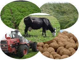 Mathematical modeling of multicomponent beverages with a balanced composition of nutrients. Agrobiznes 2020 Karagandinskij Universitet Kazpotrebsoyuza