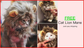 Each day we scour the depths of internet humor to find the cream of the comedy crop. Funny Animal Pictures Home Facebook