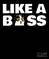 Australian Shepherd Like A Boss Quote Digital Art By Dusan Vrdelja