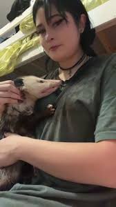 autumn's coming and im happy :)