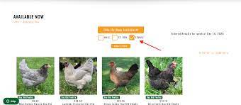 By kendra | aug 28, 2020 | meyer hatchery. How To Find A Common Or Ideal Hatch Date Meyer Hatchery