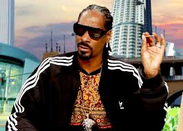 Snoop Dogg Admits He Got High At The White House Snoop Dogg Dogg Snoop