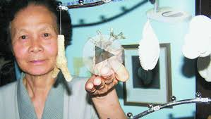 Image result for Peponium vogelii