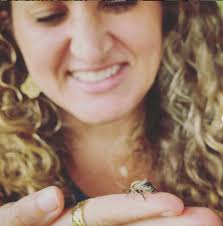 Recommended species/breed for beginner beekeepers?