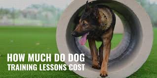 Puppy board and train programs establish the behaviors you seek in your new furry friend but you must continue to work with your dog once he gets home. How Much Do Dog Training Lessons Cost Price Factors Types Faqs