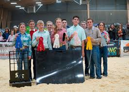 We had some amazing showmen at Western Regional! Congratulations to the top  10 in each age group! Novice: 1st: Alex Mendoza, Calif. 2nd: Jake Backman,  Calif. 3rd: Maddox Rodgers, Calif. 4th: Camden