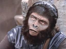 Who is Ron Stein dating? Ron Stein girlfriend, wife