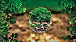 This year the theme for world environment day is 'time for nature'. Earth Day 2021 Slogans Quotes Messages And Wishes To Send On This Day