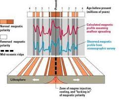 Geomagnetic Fields Dr Pawluk Magnetic Field Seafloor Spreading Plate Tectonics