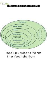 What Are Natural Numbers? Definition, Properties And Examples