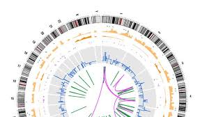Scroll through all the types of cancer & ribbon colors, once you select one, any item that shows up is available in that ribbon color. This Chart Could Save Your Life How Mathematicians Are Fighting The War On Cancer The Independent The Independent