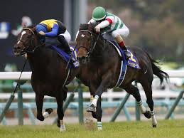 The site owner hides the web page description. çšæœˆè³ž ã‚µãƒ¼ãƒˆã‚¥ãƒ«ãƒŠãƒ¼ãƒªã‚¢ãŒæ¿€æˆ¦ã‚'åˆ¶ã—14å¹´ã¶ã‚Šã®ç„¡æ•—v Jraãƒ¬ãƒ¼ã‚¹çµæžœ ç«¶é¦¬ãƒ‹ãƒ¥ãƒ¼ã‚¹ Netkeiba Com