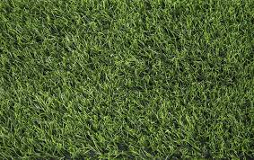 Artificial Green Grass Texture In 2020 Grass Textures Green Grass Grass