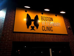 You can expect to be greeted by a courteous receptionist, clean exam rooms, friendly doctor, and caring technicians. This Vet Clinic S Logo Designporn