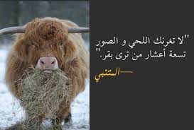لا تغرنك اللحي والصور تسعة اعشار من ترى بقر المتنبي animals quotes art