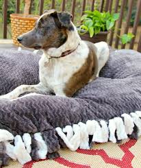 Maybe you would like to learn more about one of these? 19 Adorable Diy Dog Beds How To Make A Cute Cheap Pet Bed