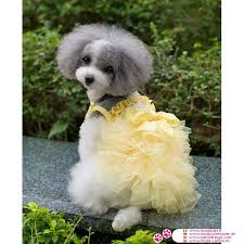 All'interno del negozio trovate anche molti cuccioli, bisognosi esclusivamente di amore, e diamo l'opportunitè , grazie a una grande cooperazione con la lega nazionale per la difesa del cane, di prendere in adozione a distanza un animale. Vestito Da Cerimonia Giallo Per Cani Piccoli Chihuahua Barboncino Toy Maltese
