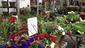 Maybe you would like to learn more about one of these? Coupon Schroeder S Flowers Green Bay 09 2021