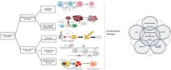 Image result for Targeted Cancer Therapy