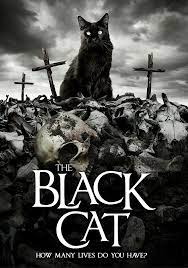 The Black Cat Dvd Wild Eye Releasing Cat Movie Black Cat Cats