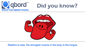 Relative To Size The Strongest Muscle In The Body Is The Tongue Strong Muscles Muscle Body Did You Know Facts