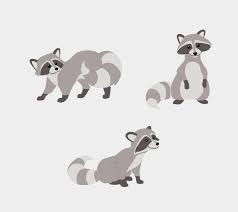 Raccoon Illustration Google Search In 2019 Raccoon