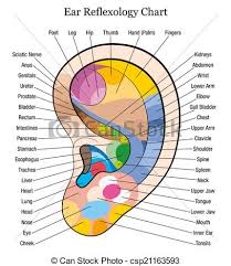 Ear Reflexology Chart Description W