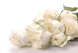 Mawar putih pada gambar tersebut sudah nampak pemekaran bunganya yang indah dan cantik. Bunga Mawar Putih Toko Bunga Online Tws Florist