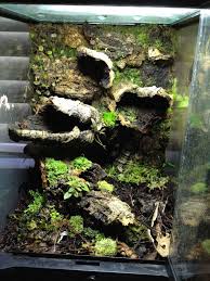 Click The Image To Open In Full Size Reptile Terrarium Snake Terrarium Frog Terrarium