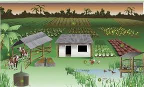 Integrated farming - ஒருங்கிணைந்த பண்ணையம் ...