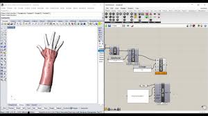 English español français deutsch italiano. Platre Rhino Grasshopper Youtube