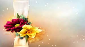 Very best nice sound quality. Poetry Backgrounds Free Hd Motion Background For Poetry Videos Youtube