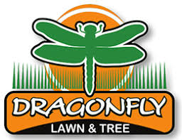 Lawn care & maintenance , lawn mowing, lawn service, grounds maintenance, mowers, fertilizers and more in wichita, ks. Dragonfly Lawn Tree Care