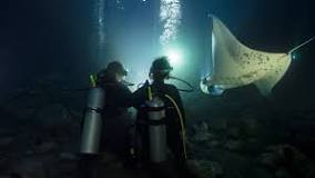 Image result