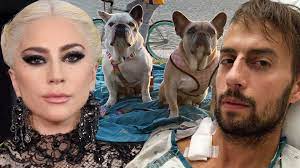 Fischer shared two photos on instagram, one of him looking unconscious, and one of him awake and sitting up. Lady Gaga S Dog Walker Says His Lung Collapsed Several Times Following Shooting Gives Health Update Entertainment Tonight