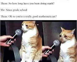 Why Did They Have To Add The Greek Alphabet To Math Mathmemes