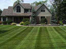 We do communicate that because we specialize in routine maintenance we may have to refer patients to advanced care when necessary. Southern Lawn Landscape Maintenance Home Facebook