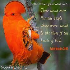 Pin On Quran Hadith