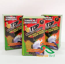 Maybe you would like to learn more about one of these? Racikan Jamu Lovbirt Konslet Untuk Betina 20 Pilihan Makanan Harian Burung Lovebird Gacor Mantul Galeri Lovebird Konslet Follow Lovebirdkonslet Indonesia Tag Lovebirdkonslet Indonesia Hastag Lovebirdkonsletindonesia