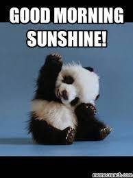 A positive and happy morning can set your day in a light mood. 75 Funny Good Morning Memes To Kickstart Your Day Baby Animals Pictures Happy Panda Cute Baby Animals