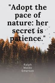 Ralph Waldo Emerson Quotes Are So True We Have A Responsibility To Care Inspirational Environmental Quotes Environmental Quotes Education Quotes Inspirational