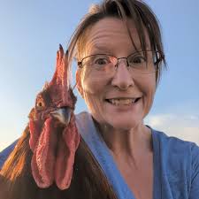 Hi! I am not a first time chicken owner but it has been a long time since  I've owned any chickens. I just got these beautiful sapphire olive egger  pullets and I