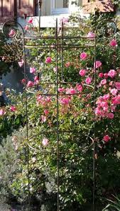 Sti E Lvoll Hohe Rankhilfe Fur Rosen Und Clematis Rankhilfe Gartendekoration Rankhilfe Rosen