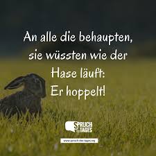Weisheiten Lebensweisheiten Und Sprüche Spruch Des Tages