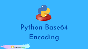 Python Base64 Module Tutorial In 2020 Python Python Programming Tutorial