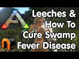 Wet the leaves when you water to wash off spores already on them and keep landing ones from germinating. Steam Community Video Ark Survival Evolved How To Cure Swamp Fever Disease Leeches
