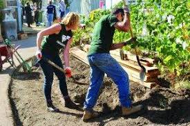 The business of volunteering: many hands make light work